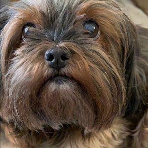 Meet your Posher, Karri